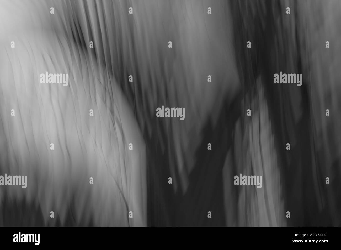 Arte astratta a lunga esposizione. Fotografia con movimento della fotocamera. Linee sfocate di piante naturali. Paesaggio irreale. Foto Stock