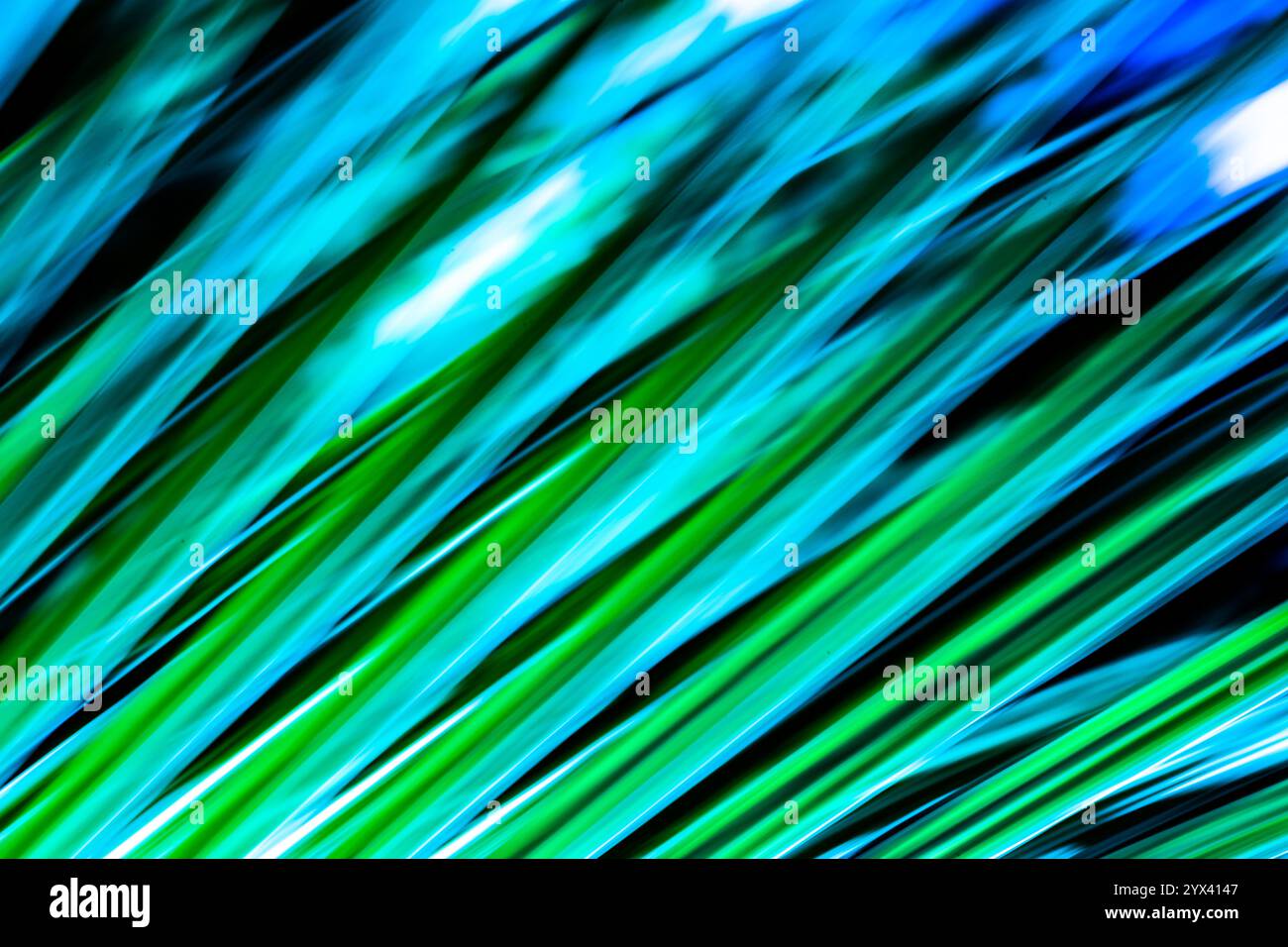 Arte astratta a lunga esposizione. Fotografia con movimento della fotocamera. Linee sfocate di piante naturali. Paesaggio irreale. Foto Stock