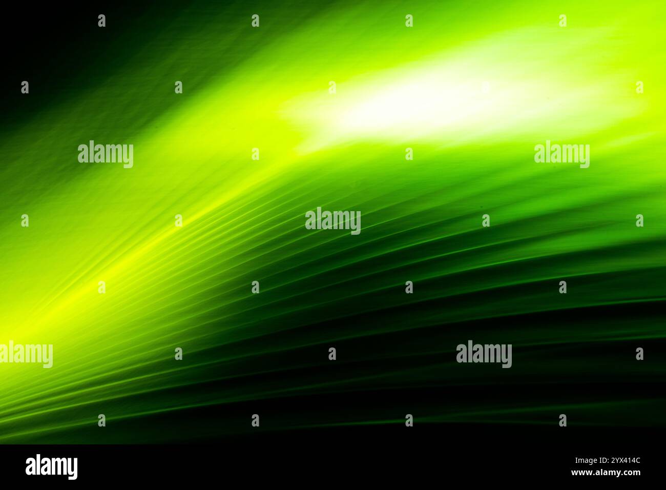 Arte astratta a lunga esposizione. Fotografia con movimento della fotocamera. Linee sfocate di piante naturali. Paesaggio irreale. Foto Stock