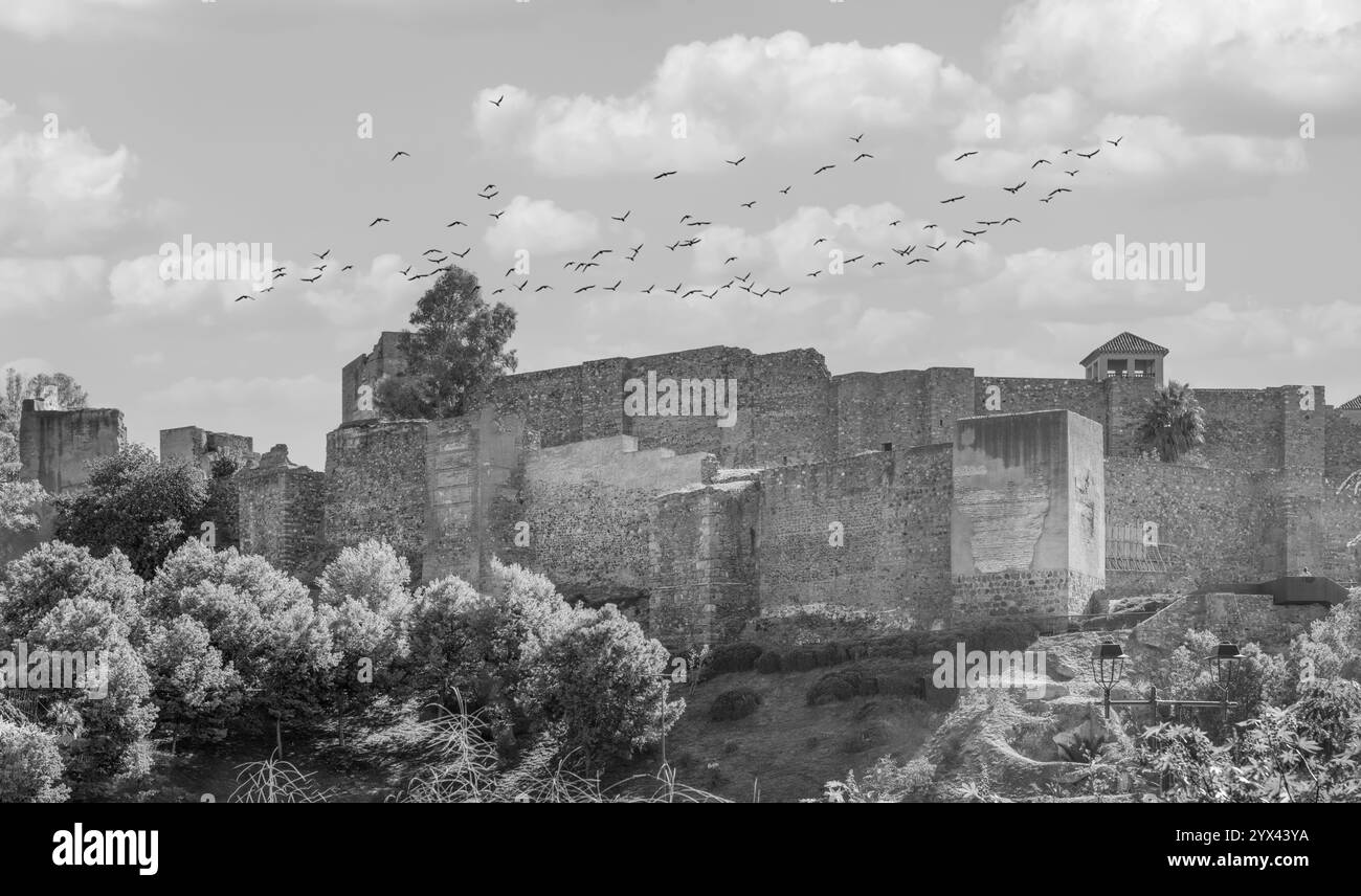 L'Alcazaba è una fortificazione di Málaga, in Spagna, costruita durante il periodo di al-Andalus, governato dai musulmani in Spagna Foto Stock