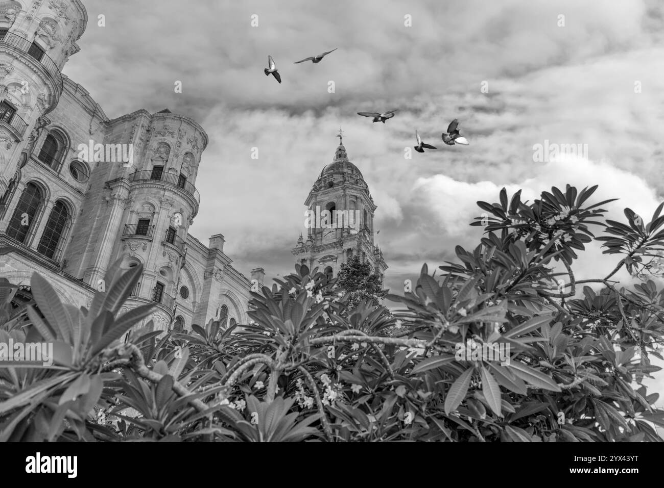 La Cattedrale di Malaga è una chiesa rinascimentale nella città di Malaga in Andalusia in Spagna meridionale. Foto Stock