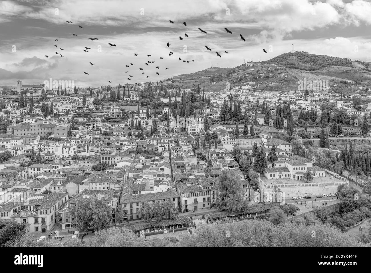 Vista del quartiere Albayzin dal palazzo dell'Alhambra con uccelli, Granada, Andalusia, Spagna Foto Stock