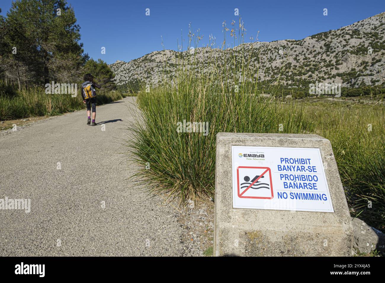 Embalse de Cuber, Maiorca, Isole Baleari, Spagna, Europa Foto Stock