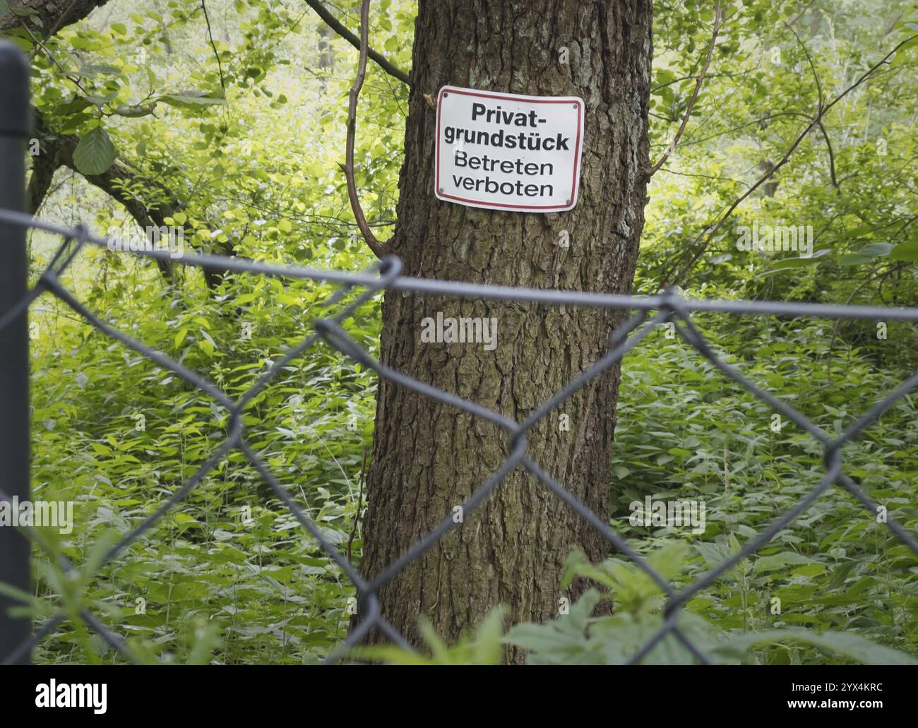 10.06.2024, firma su un terreno giardino nel 21465 Reinbek, proprieta' privata senza inconvenienti Foto Stock