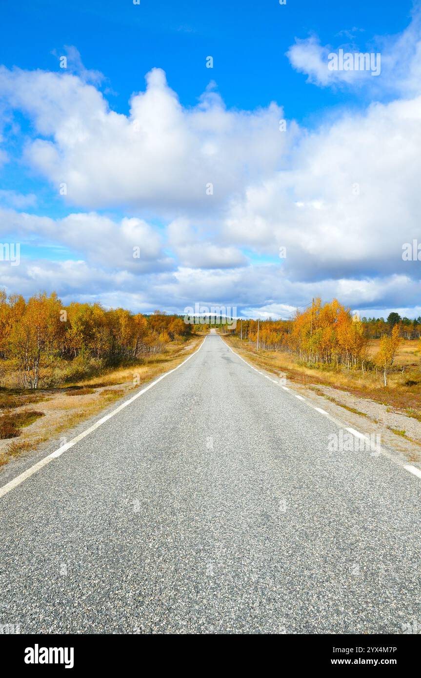 Strada di campagna solitaria in Svezia in autunno strada di campagna solitaria attraverso la Svezia in autunno Foto Stock