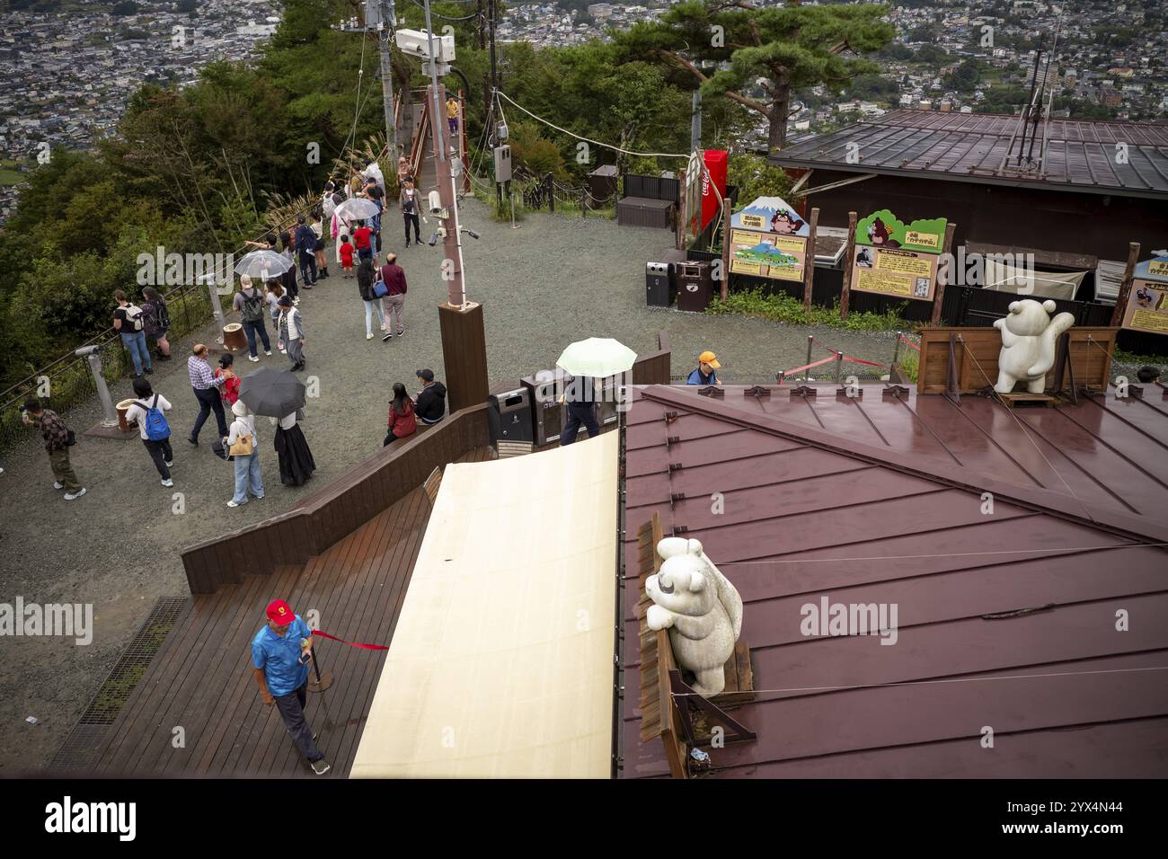 Turisti, gatti bianchi, vista dall'alto, Kawaguchiko Tenjoyama Park, Giappone, Asia Foto Stock
