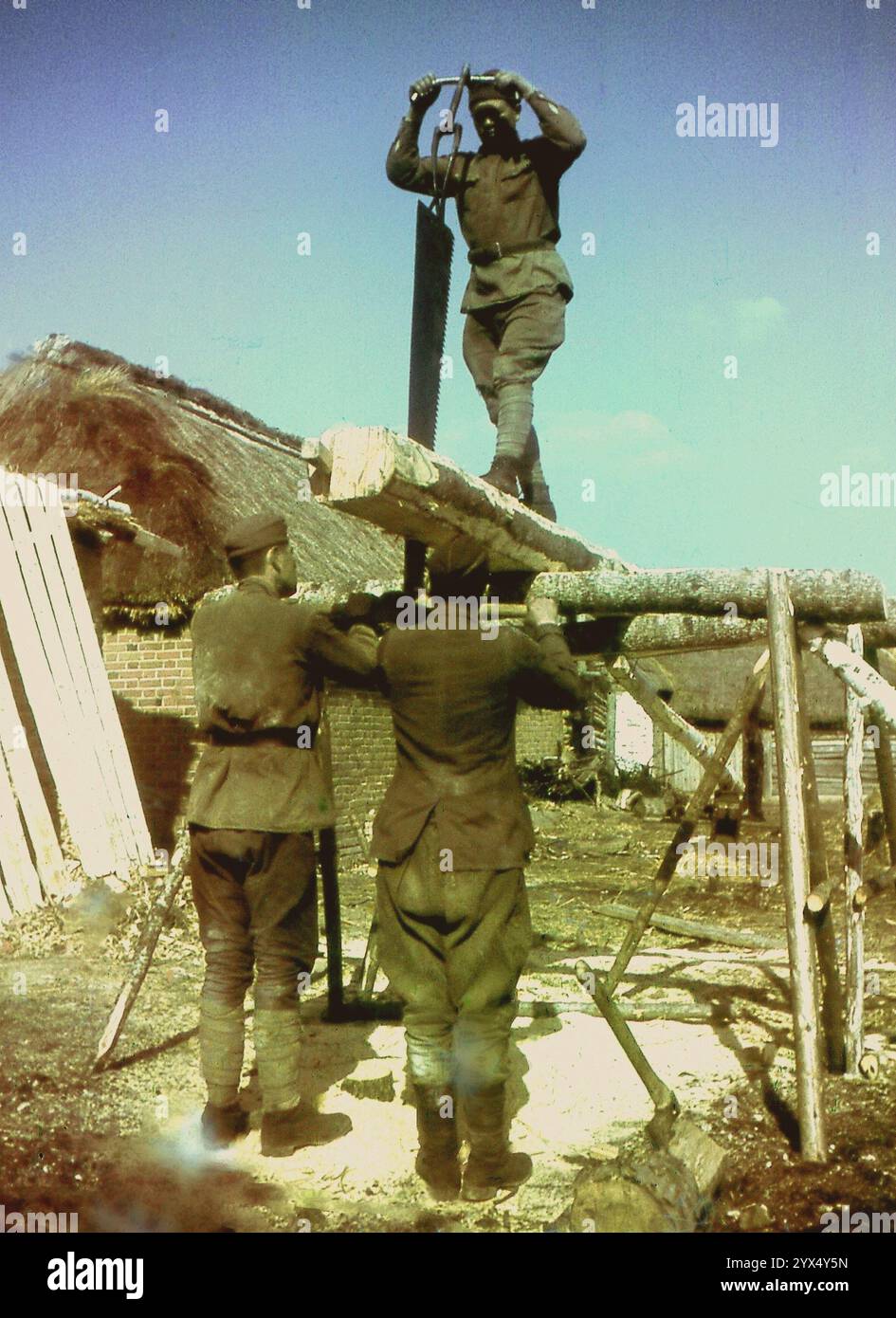 I prigionieri russi preparano legna per la costruzione di rifugi in una stazione vicino a Makarowa. Nell'area della 110th Infantry Division nella sezione centrale del fronte orientale. [traduzione automatizzata] Foto Stock