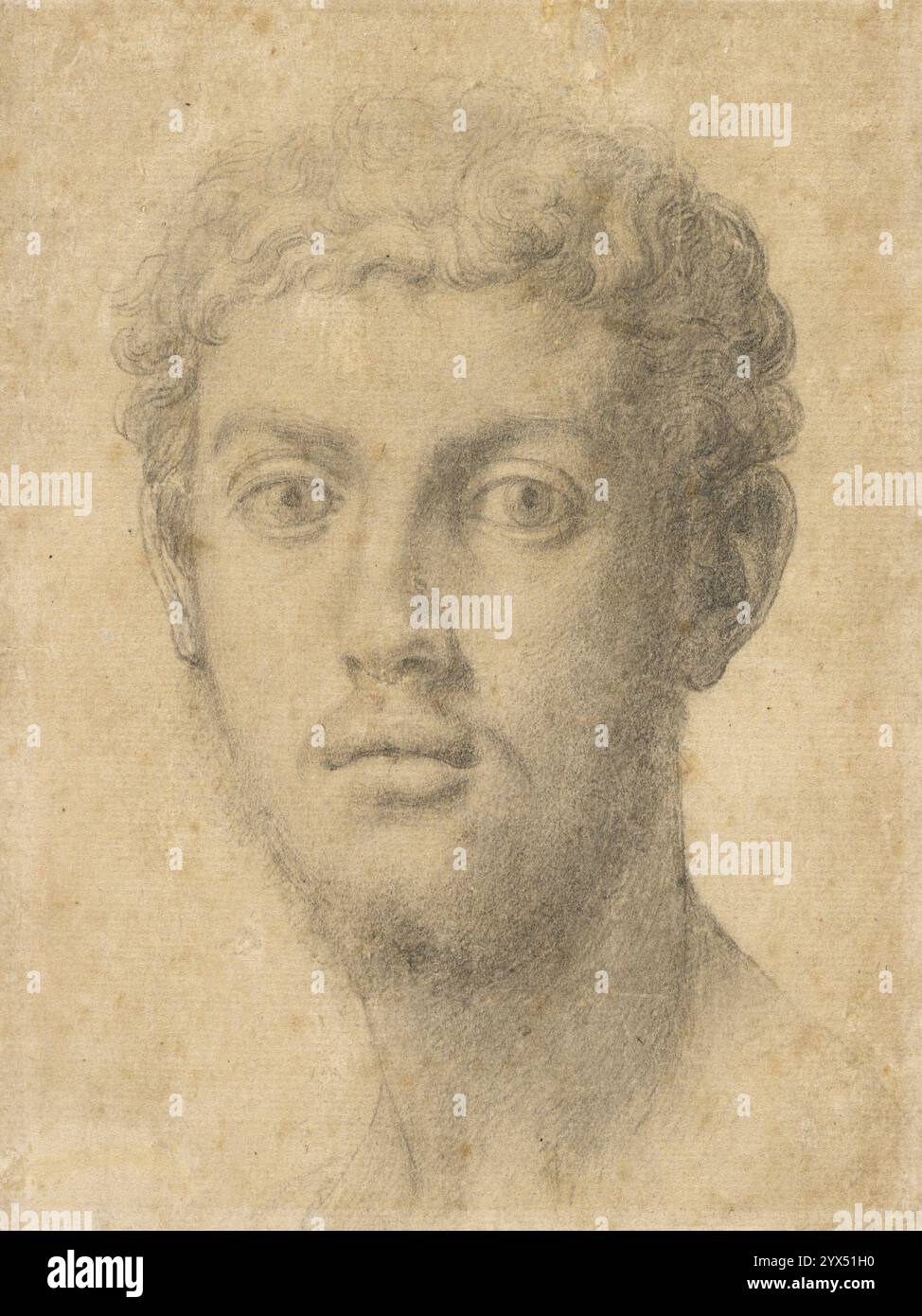 Capo di un uomo, circa 1550-1555. Informazioni aggiuntive: Con delicati tratti di gesso, Agnolo Bronzino costruì la testa di un giovane nobile fiorentino. Linee morbide e attente creano i capelli arricciati sulla testa, il pallido ronzio sul mento e i suoi ampi occhi a forma di mandorla perforanti con i loro grandi Iris. Numerose linee di tratteggio trasversale creano ombre più scure sul lato destro del viso e sul lungo ed elegante collo. Bronzino probabilmente fece questo disegno dalla vita; lievi pentimenti nell'orecchio destro e nell'occhio implicano regolazioni fatte davanti al modello live. Bronzino ha disegnato questa testa come stu Foto Stock