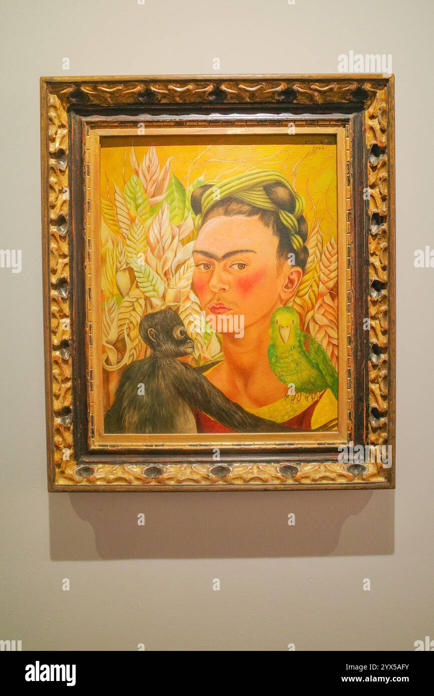 Buenos Aires, Argentina - 20 novembre 2024: Museo d'arte latinoamericana di Buenos Aires, Fundación Costantini Foto Stock