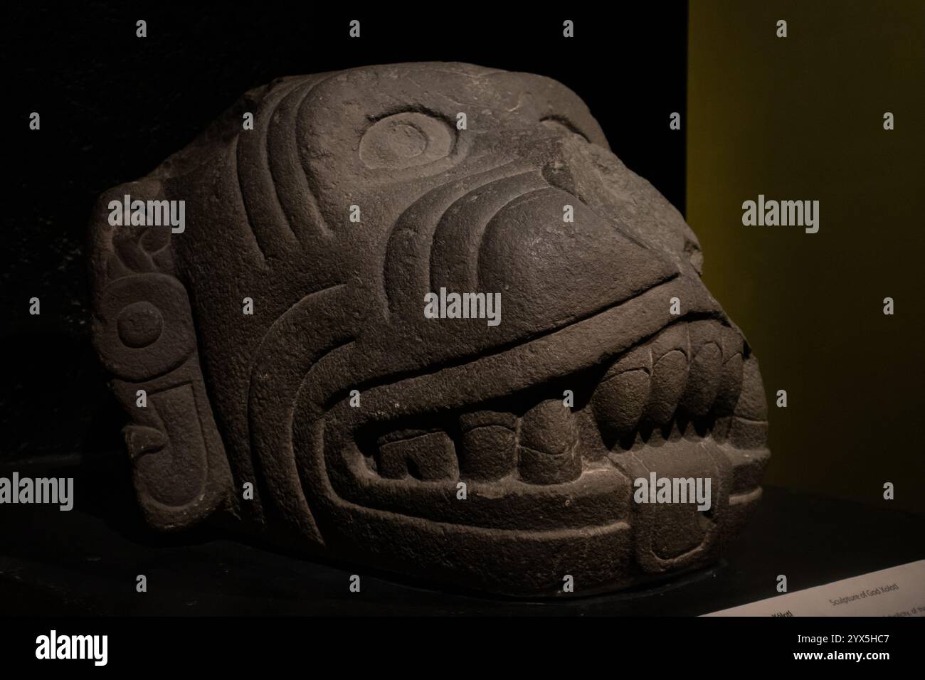 Città del Messico, Messico 12 novembre 2024: Rappresentazione in pietra del Dio cane Xolotl, una divinità legata alla morte, al movimento, all'oscurità, alla durezza e alla u Foto Stock