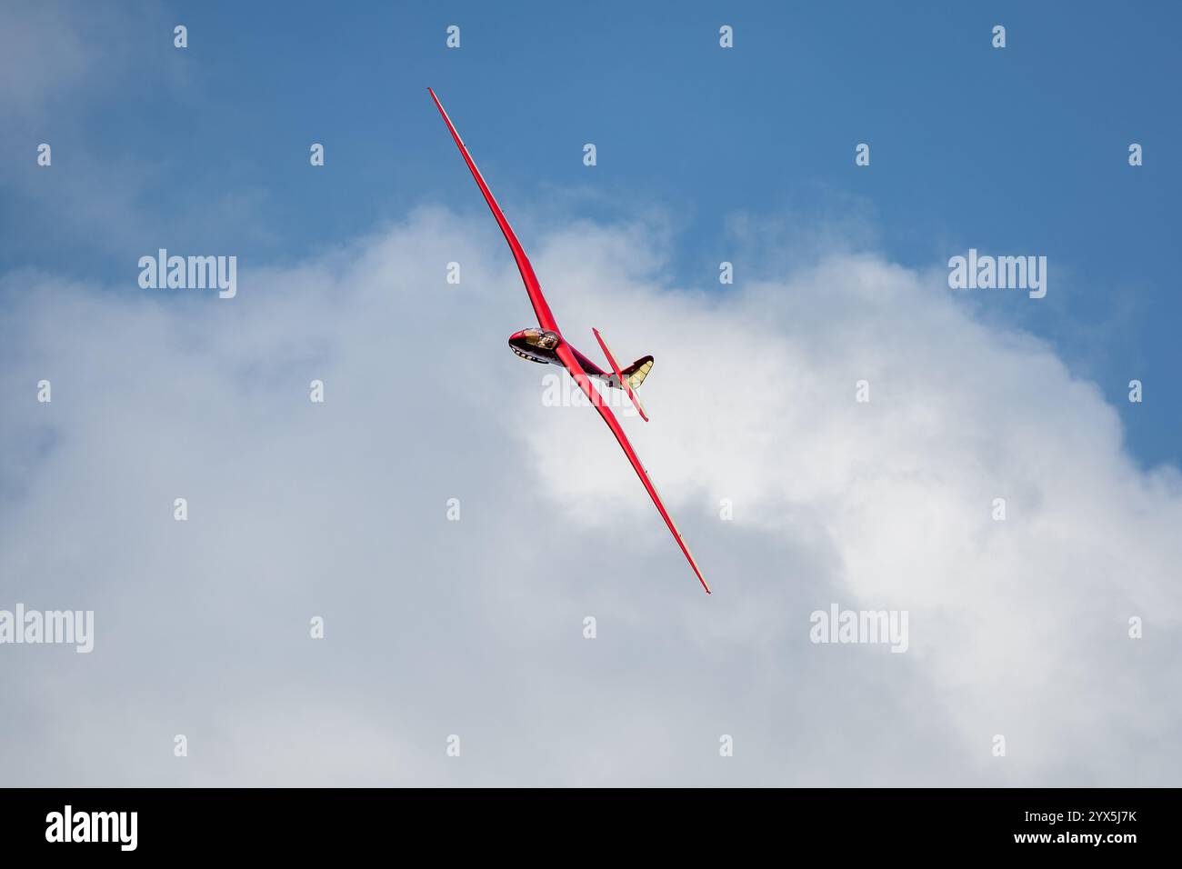 Slingsby T.13 Petrel, al Best of British Air Show tenutosi a Shuttleworth il 12 maggio 2024. Foto Stock