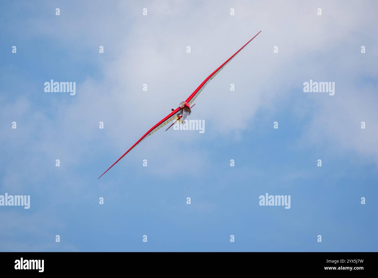 Slingsby T.13 Petrel, al Best of British Air Show tenutosi a Shuttleworth il 12 maggio 2024. Foto Stock