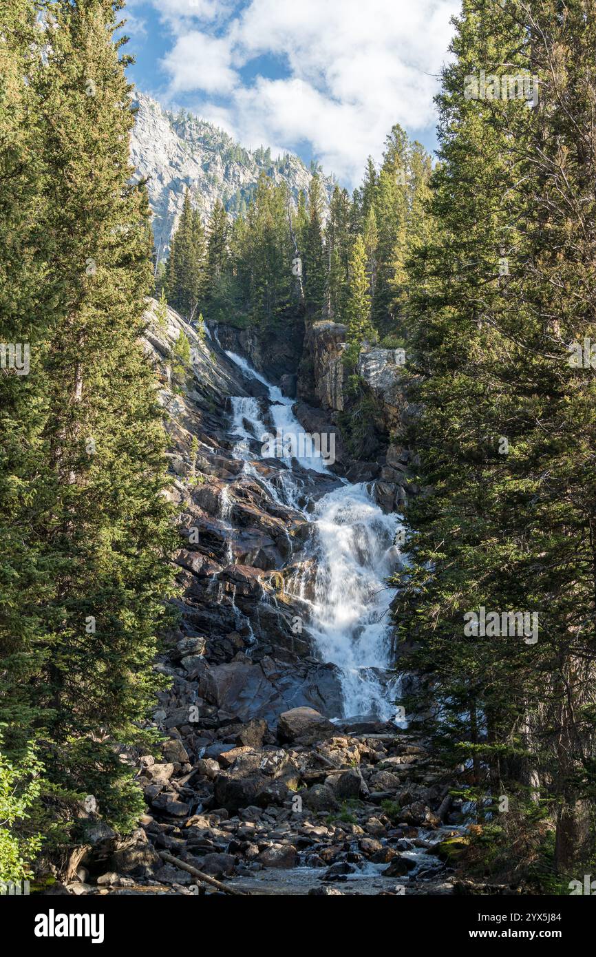 Vista panoramica della catena del Grand Teton vista dal lago Jenny, nel Wyoming Foto Stock