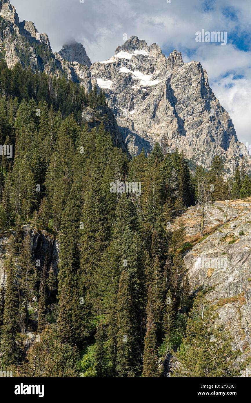 Vista panoramica delle montagne del Grand Teton dal Cascade Canyon, nel Wyoming Foto Stock