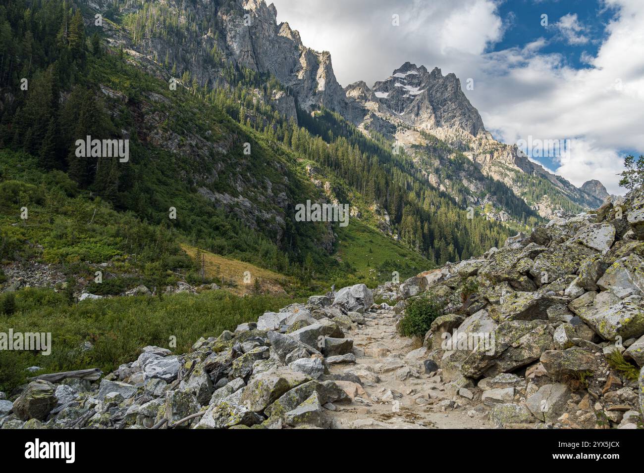 Vista panoramica delle montagne del Grand Teton dal Cascade Canyon, nel Wyoming Foto Stock