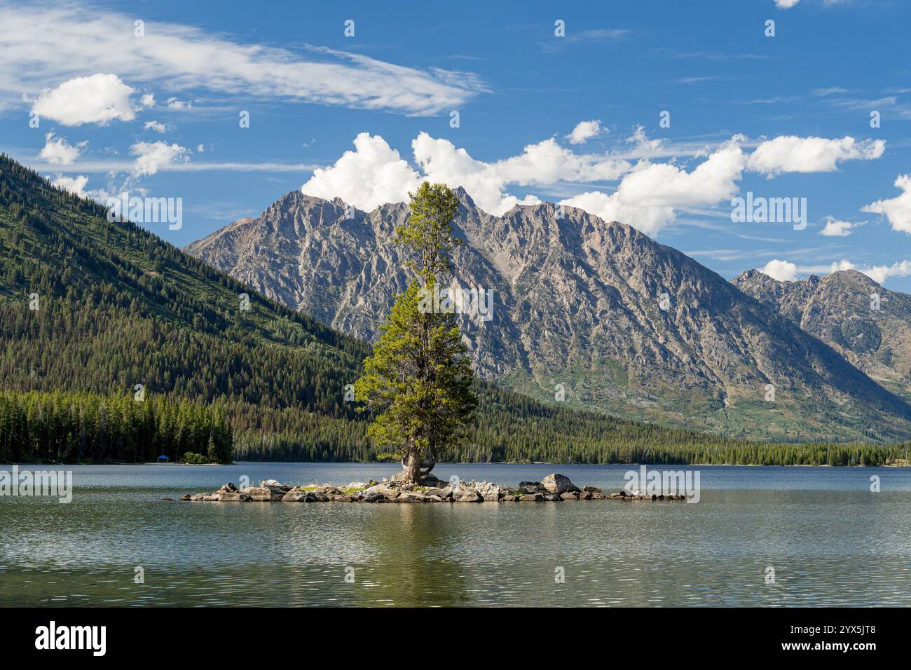 L'Eagle Rest Peak è visibile dalle rive del lago Leigh nel Grand Teton National Park, Wyoming Foto Stock