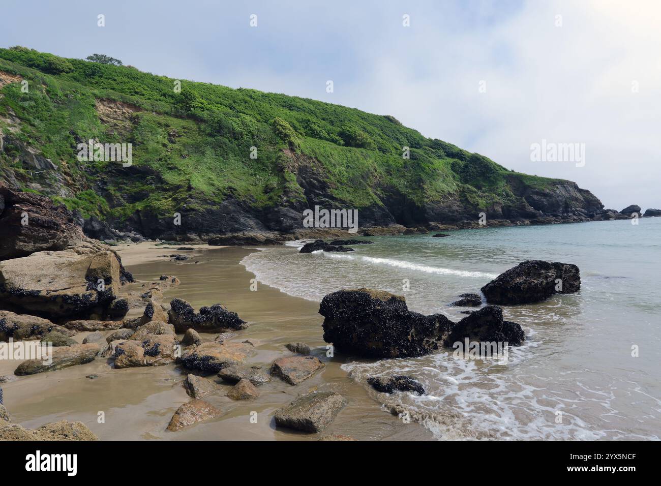 GRAN BRETAGNA/Cornovaglia/Caerhays/Porthluney Beach Foto Stock