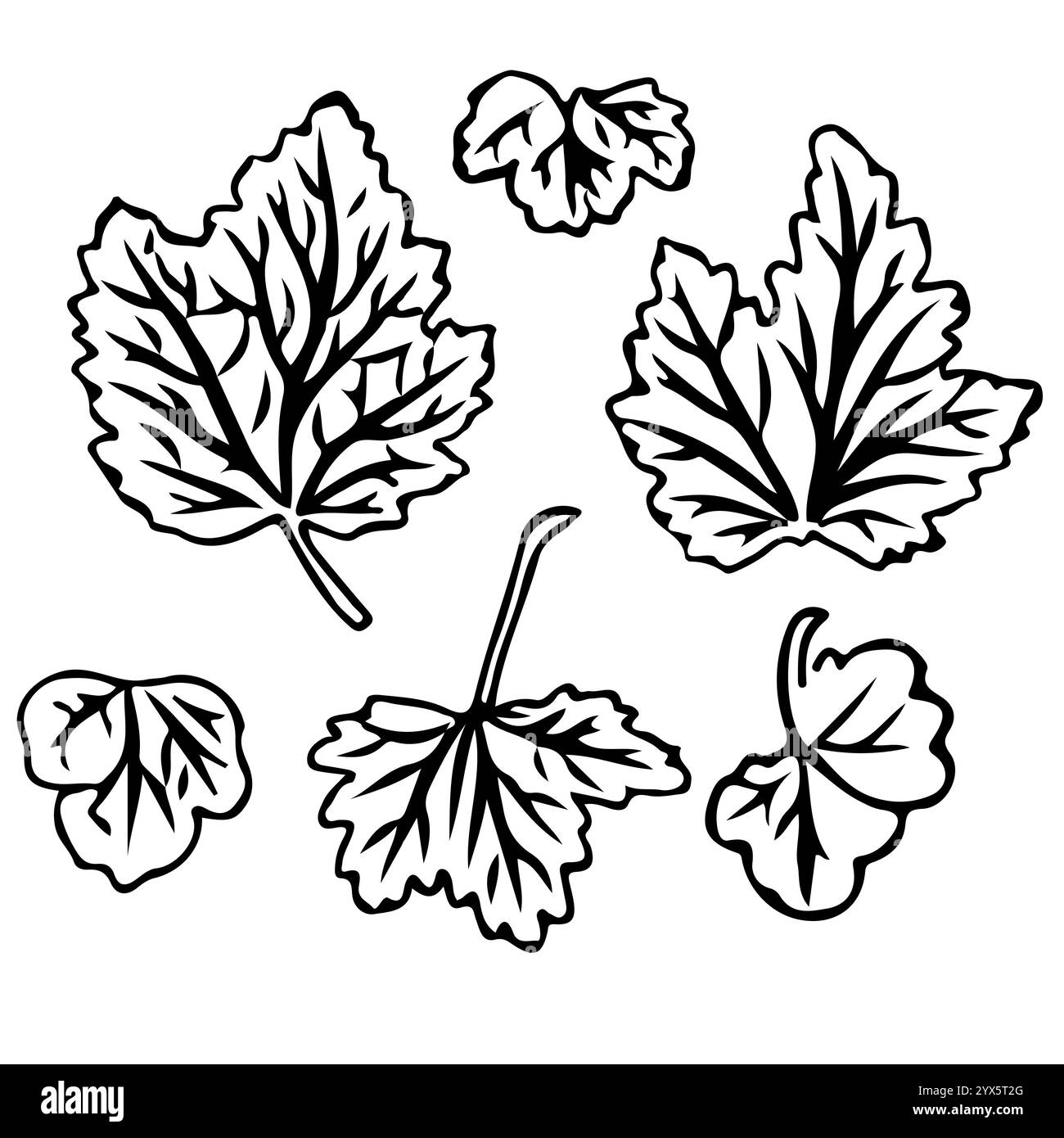 Foglia di ribes in stile doodle. Illustrazione vettoriale isolata su sfondo bianco. Illustrazione Vettoriale