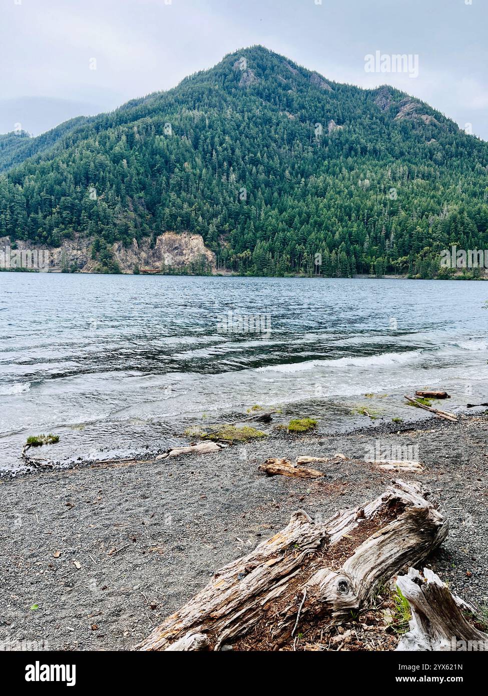 Tranquilla vista sul lago con lussureggiante montagna boscosa sullo sfondo - Immagine stock catturata con smartphone