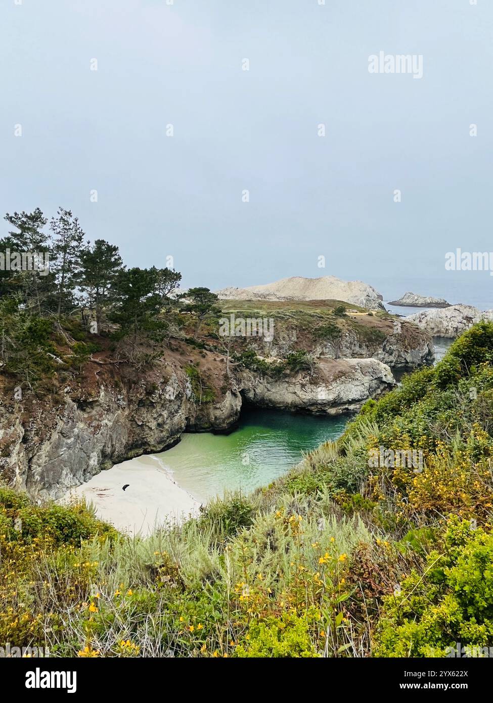 Panoramica baia nascosta con acque turchesi e lussureggianti scogliere costiere Foto Stock