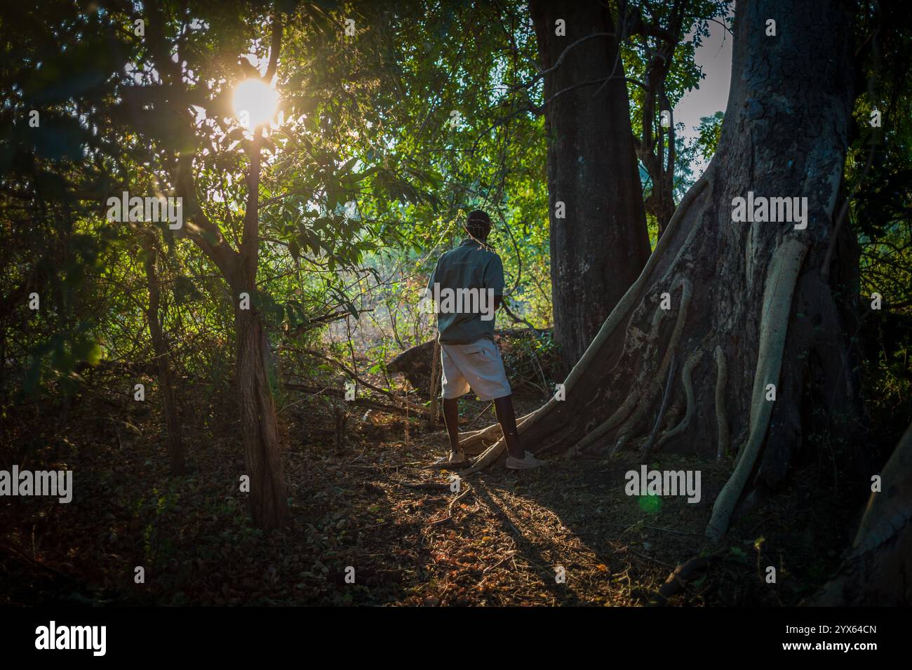 Una guida di uccelli cerca il gufo di pesca di Pel in una passeggiata a Dumela, Pafuri, Parco Nazionale di Limpopo, Provincia di Gaza, Mozambico. Foto Stock