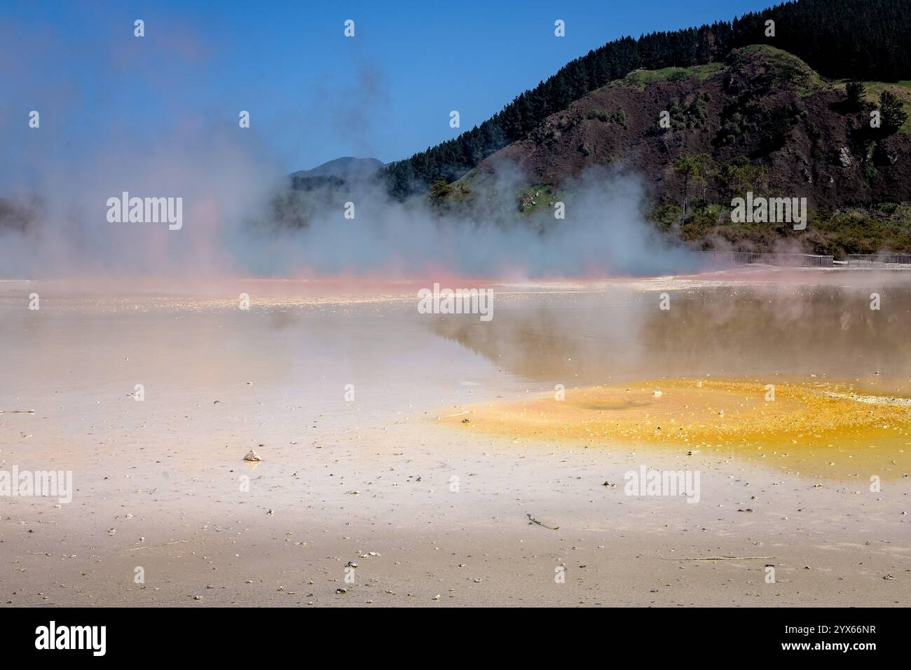 Regione geotermale, Rotorua nuova Zelanda, vapore zolfo odore di uovo marcio, piscine colorate e bollenti con fango, destinazione turistica di viaggio Foto Stock