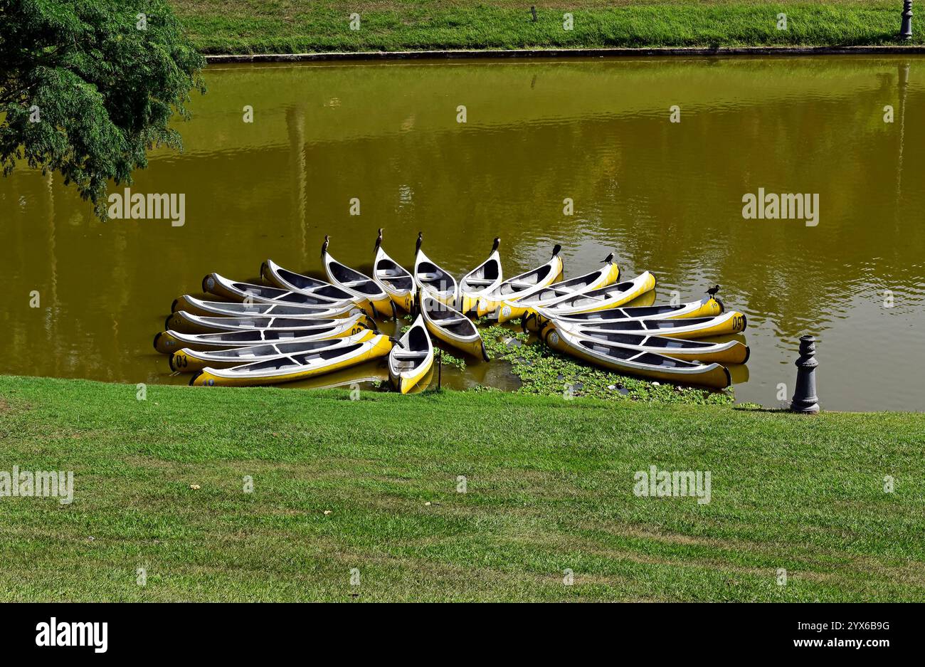 Canoe parcheggiate sul lago di Rio de Janeiro, Brasile Foto Stock