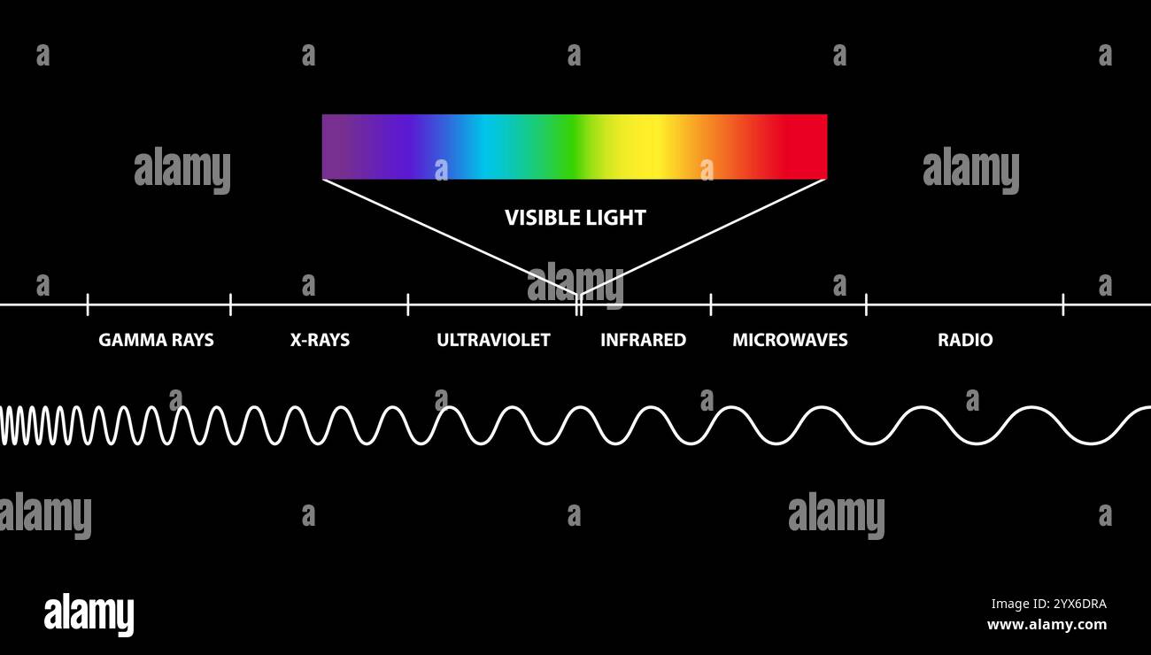 Spettro di radiazioni elettromagnetiche, regione di luce visibile, basso, alto, onde radio, microonde, raggi gamma, raggi x, ultravioletti, infrarossi Illustrazione Vettoriale