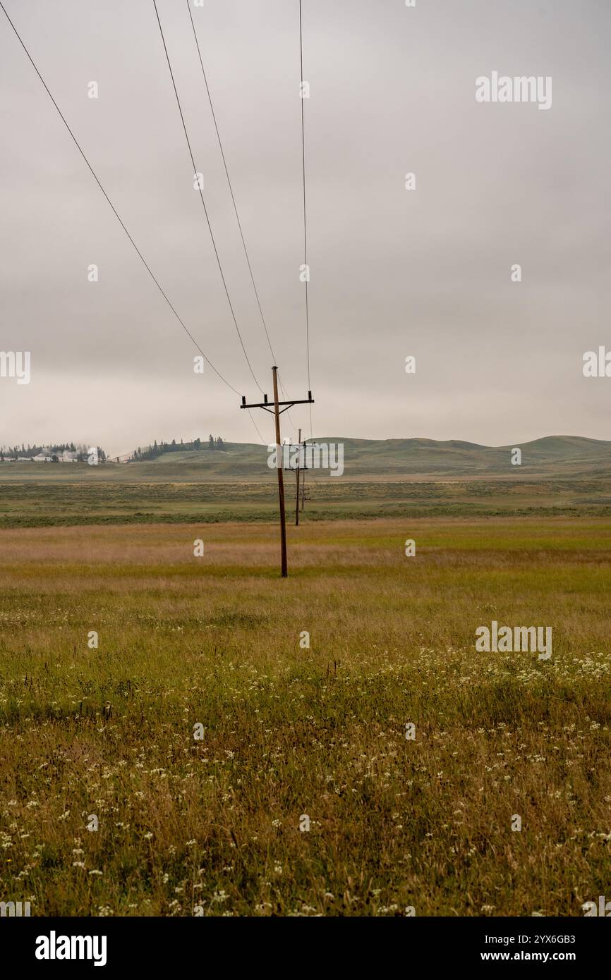 Linee elettriche attraversano la Hayden Valley nel parco nazionale di Yellowstone Foto Stock