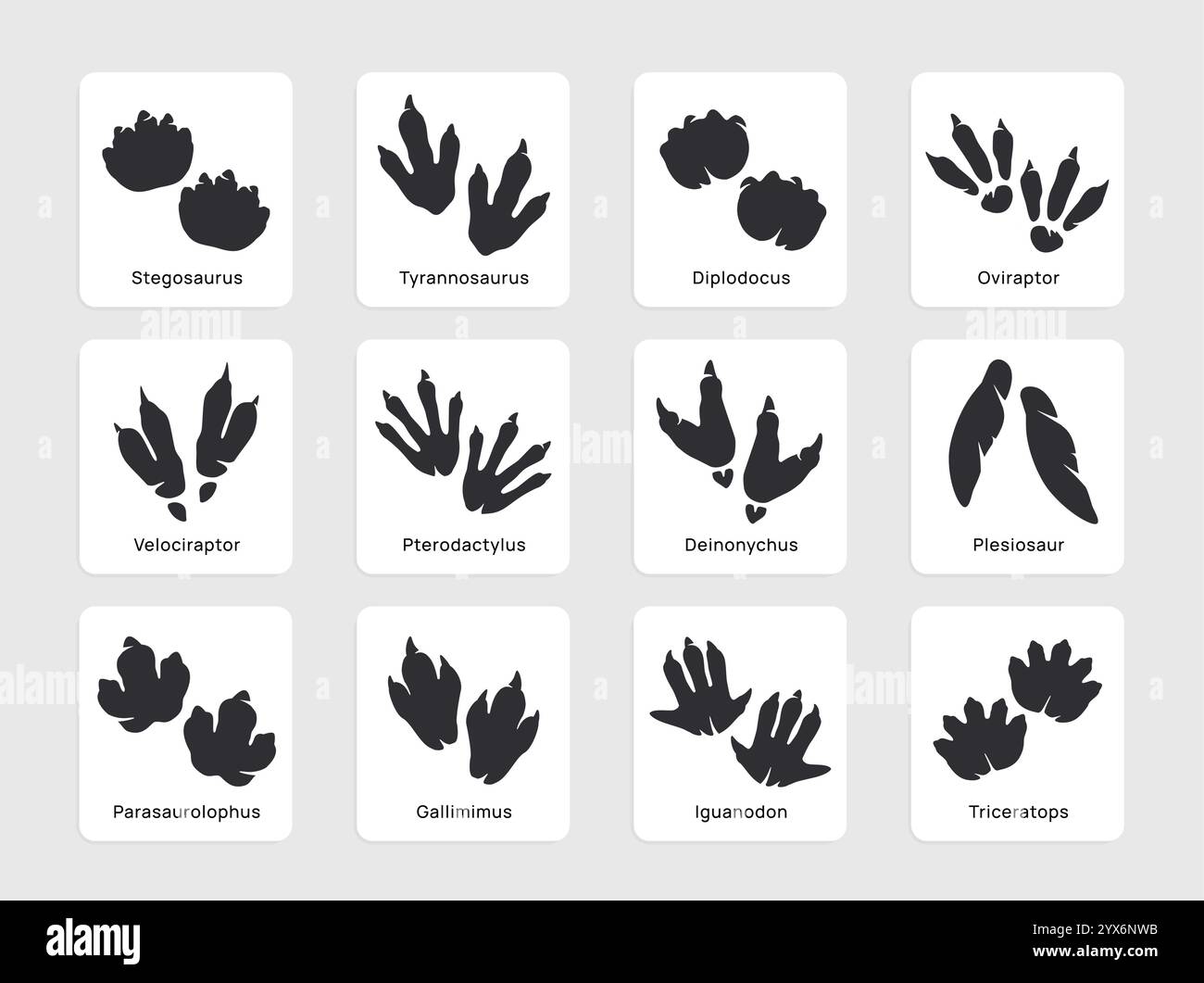 Zampe di dinosauro. Icone della paleontologia con una silhouette nera dino o un'impronta lucertola. Forme di Paw di antichi animali e creature. Vettore piatto Illustrazione Vettoriale