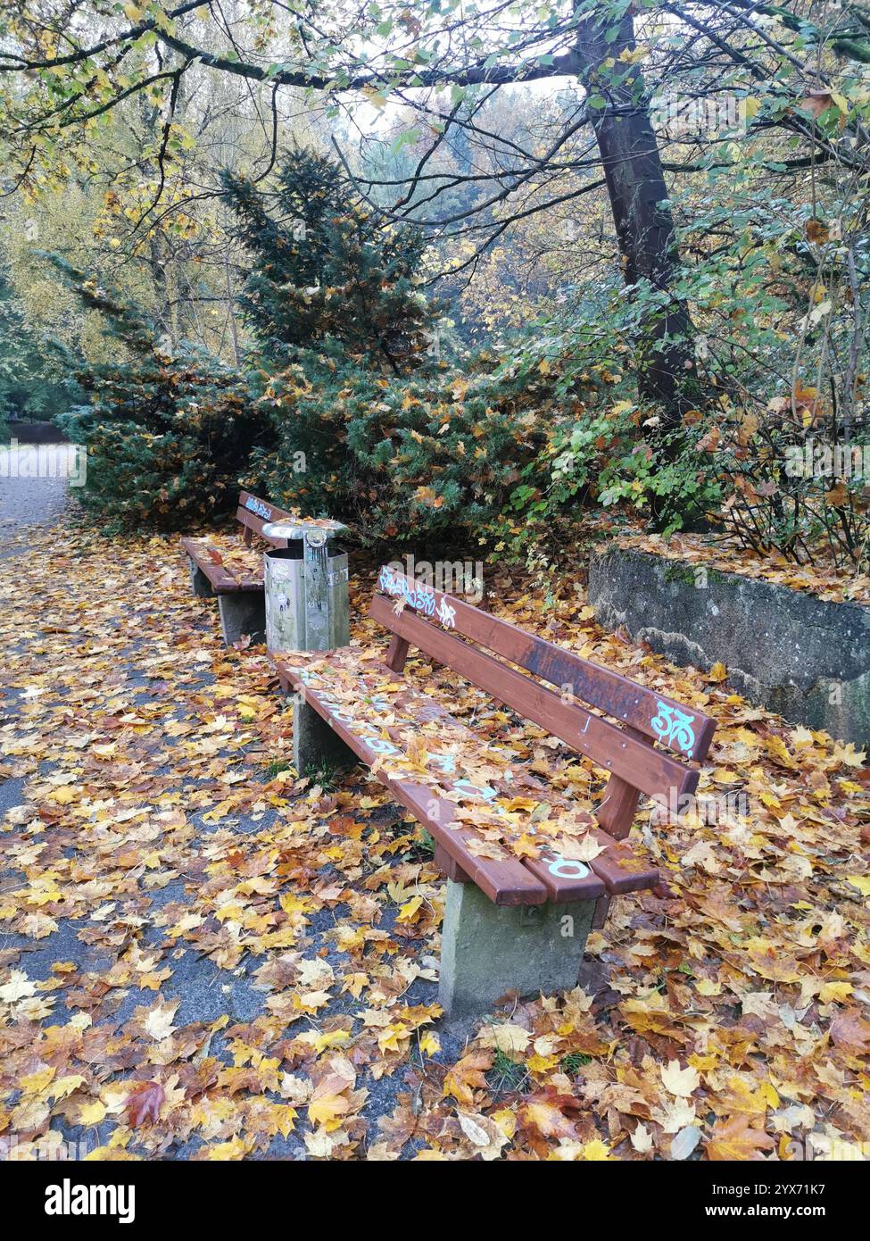 ambiente tranquillo in un parco, dove le foglie autunnali cadute ricoprono il sentiero e le panchine, creando un vivace arazzo di colori stagionali Foto Stock