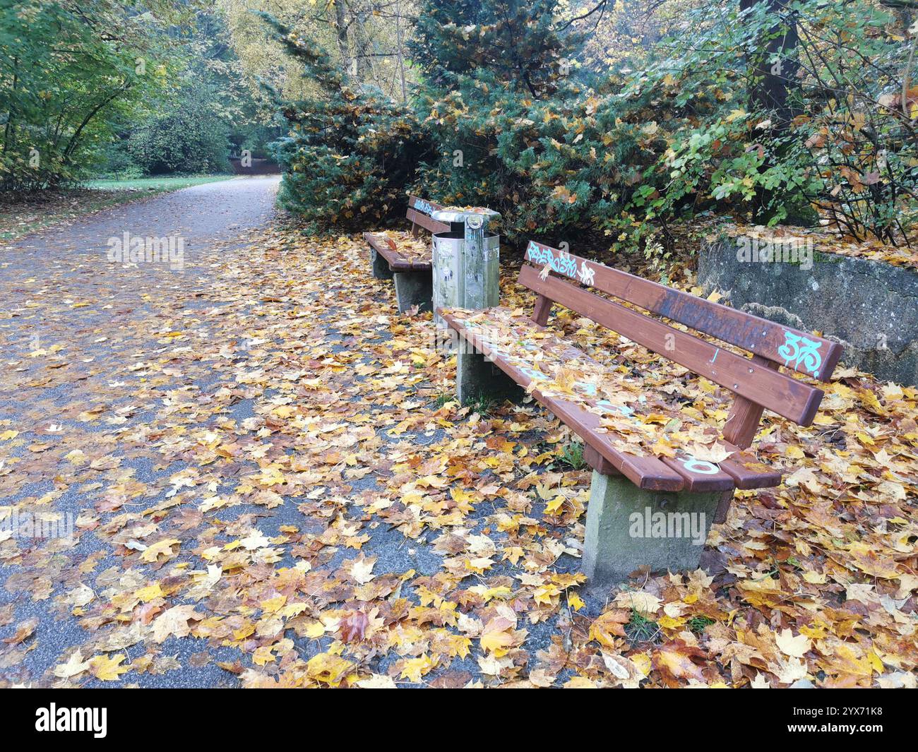 ambiente tranquillo in un parco, dove le foglie autunnali cadute ricoprono il sentiero e le panchine, creando un vivace arazzo di colori stagionali Foto Stock