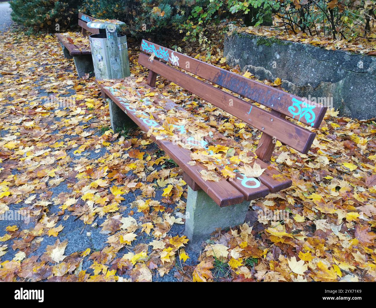 ambiente tranquillo in un parco, dove le foglie autunnali cadute ricoprono il sentiero e le panchine, creando un vivace arazzo di colori stagionali Foto Stock