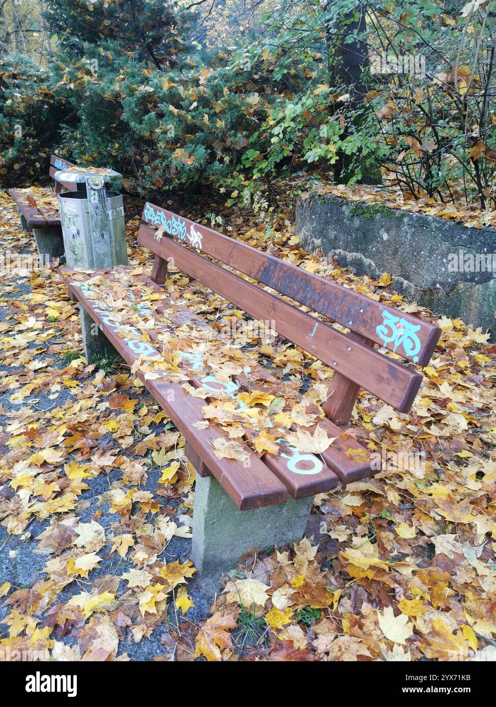 ambiente tranquillo in un parco, dove le foglie autunnali cadute ricoprono il sentiero e le panchine, creando un vivace arazzo di colori stagionali Foto Stock