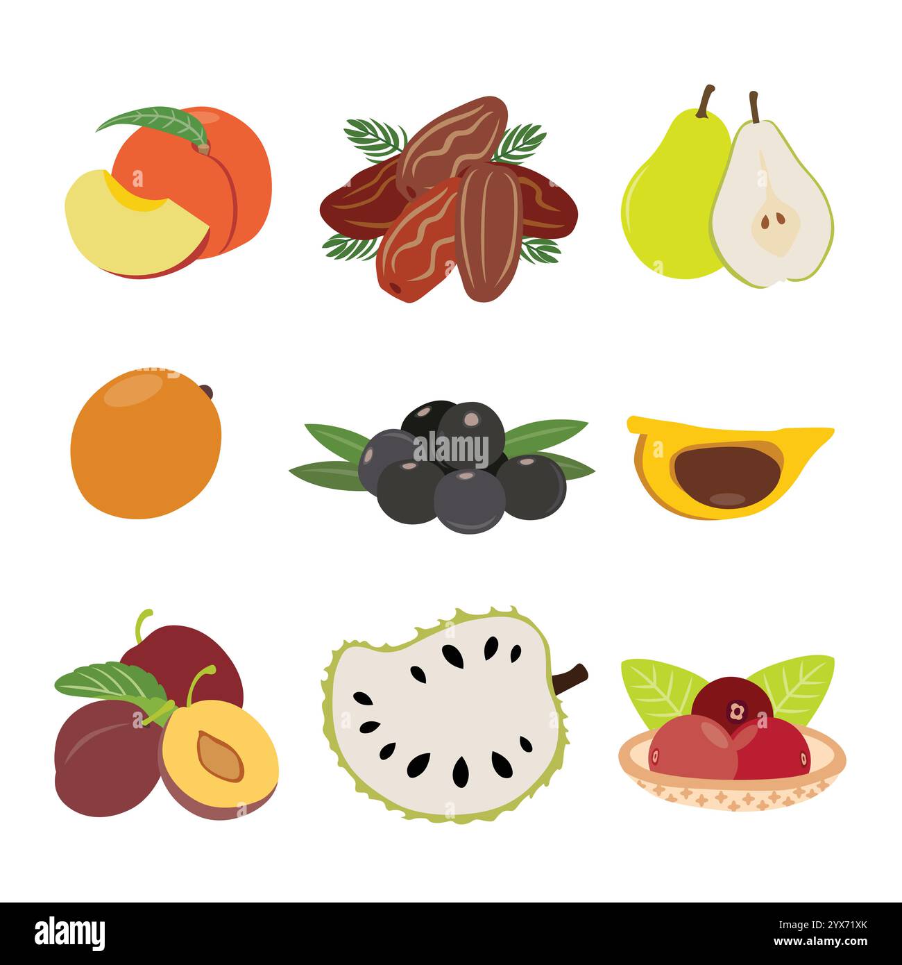 Extravaganza di frutta tropicale. Illustrazione vettoriale Illustrazione Vettoriale