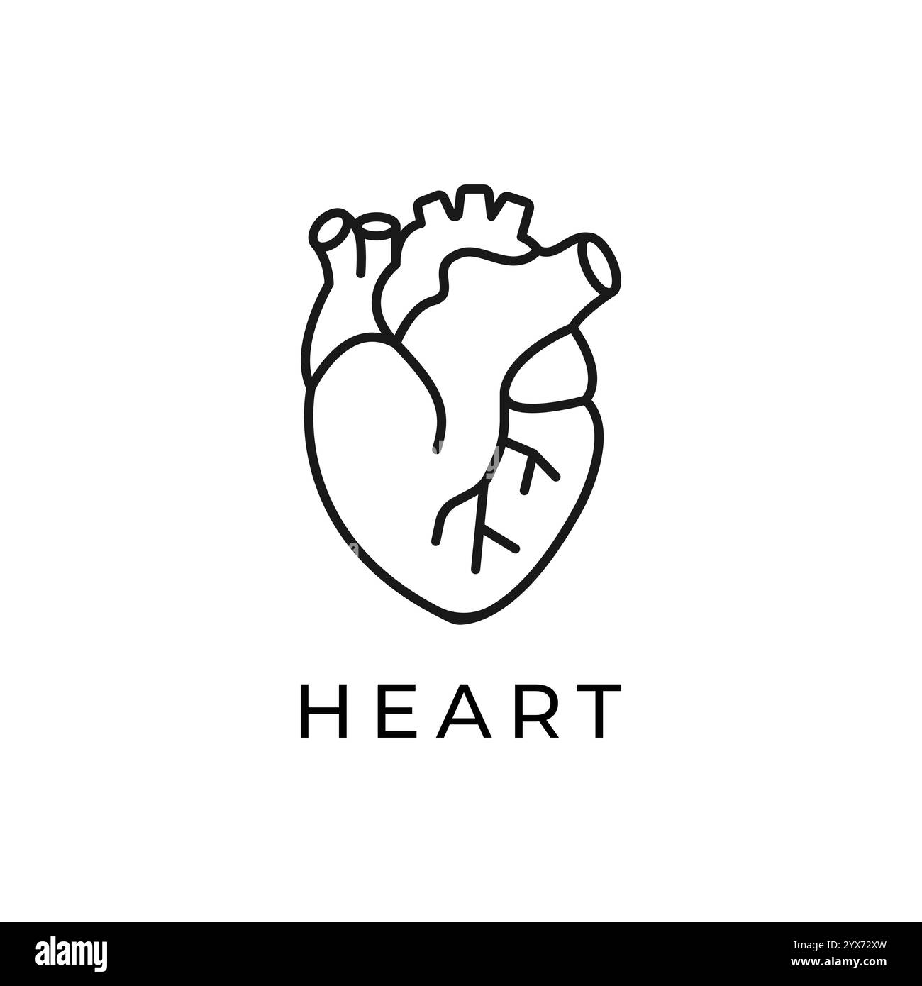 Icona della linea piatta del cuore. Pittogramma vettoriale sottile dell'organo umano interno, illustrazione di contorno per la clinica di cardiologia. Illustrazione Vettoriale