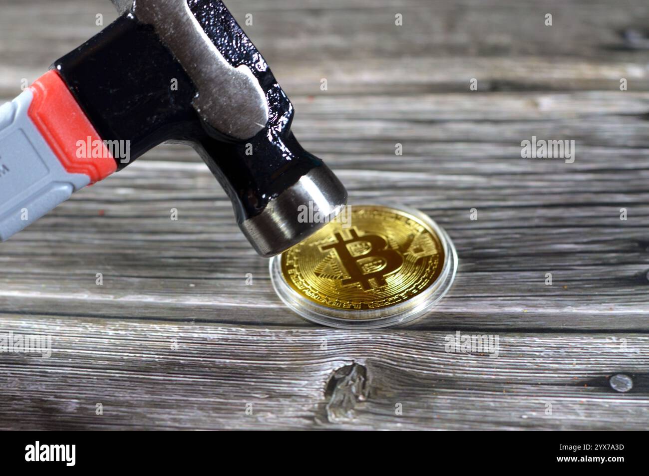 Un martello e un bitcoin d'oro fisico, BTC la prima criptovaluta decentralizzata, la valuta digitale del bitcoin si blocca, la diminuzione del valore e la caduta di BTC ma Foto Stock
