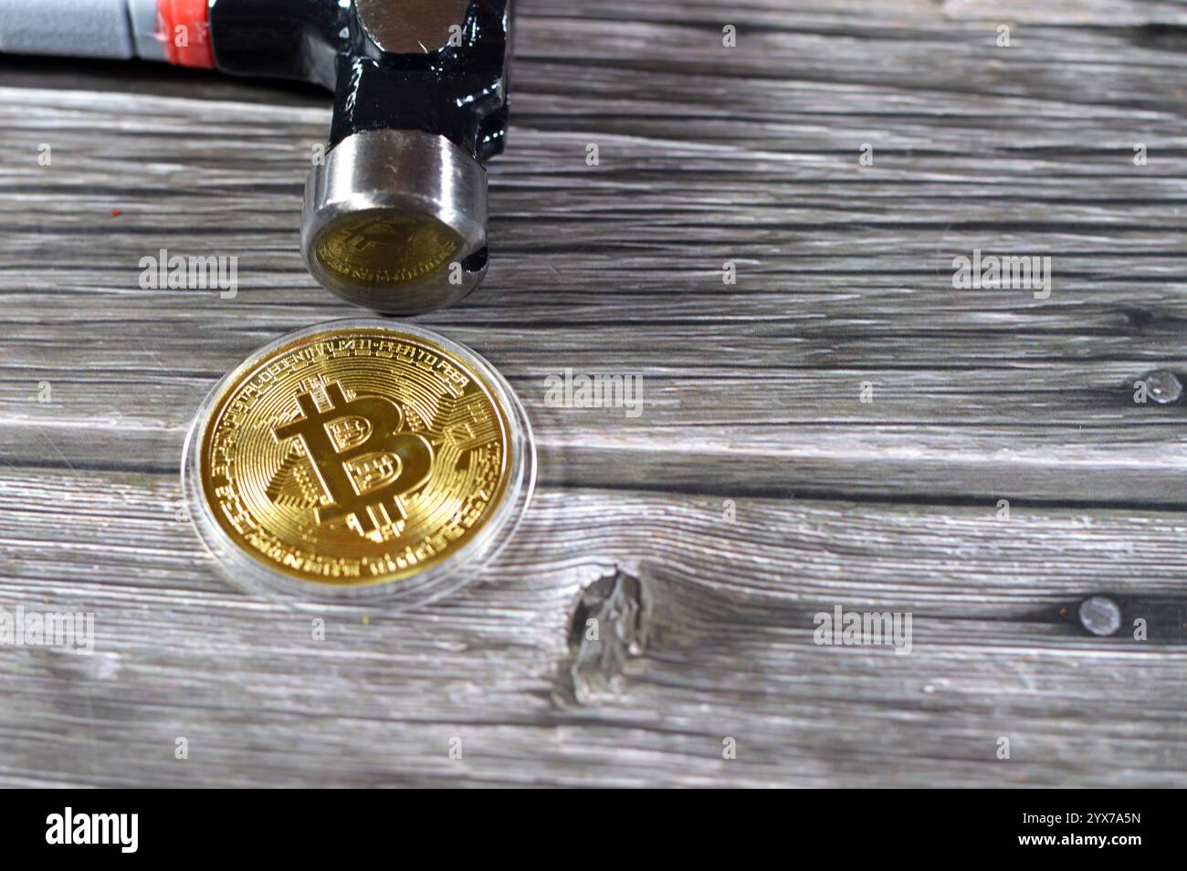 Un martello e un bitcoin d'oro fisico, BTC la prima criptovaluta decentralizzata, la valuta digitale del bitcoin si blocca, la diminuzione del valore e la caduta di BTC ma Foto Stock
