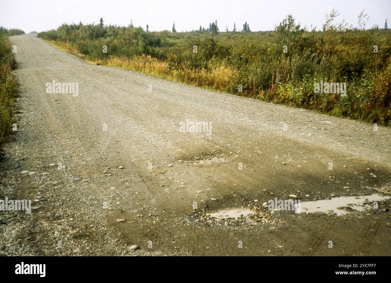 La sezione di ghiaia della Stampede Road o Stampede Trail che conduce dalla George Parks Highway o dalla Parks Highway a Denali, Alaska. Foto Stock