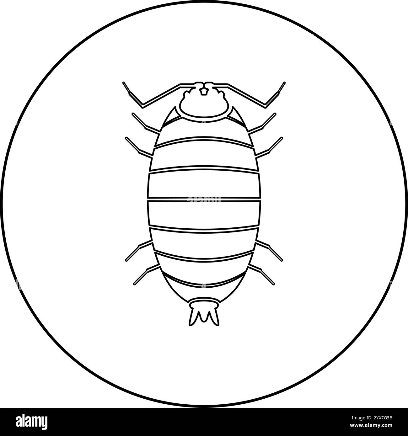 Roly Poly Woodlouse scaber porcellio scaber Woodruff icona in cerchio di colore nero vettoriale immagine contorno linea di contorno sottile stile semplice Illustrazione Vettoriale