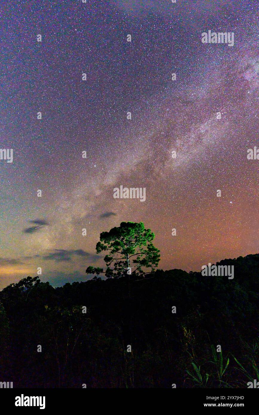 Via Lattea colorata con stelle che brillano nella galassia cosmica sopra l'albero sulla collina nella remota natura selvaggia Foto Stock