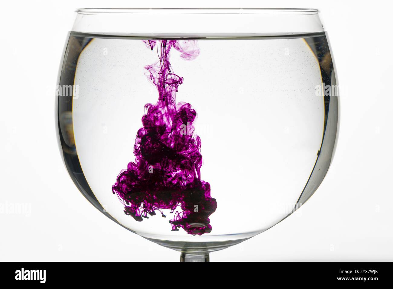 I vortici di colore viola si dispiegano in un bicchiere d'acqua, creando un'atmosfera creativa e astratta Foto Stock