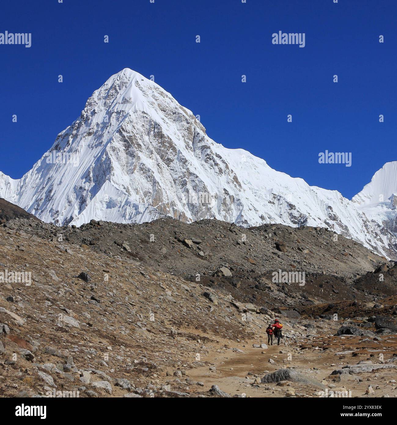 Mount Pumo Ri im Herbst, hoher Berg neben dem Everest base Camp, Nepal. Monte Pumo Ri in autunno, alta montagna vicino al campo base dell'Everest, Nepal. C Foto Stock