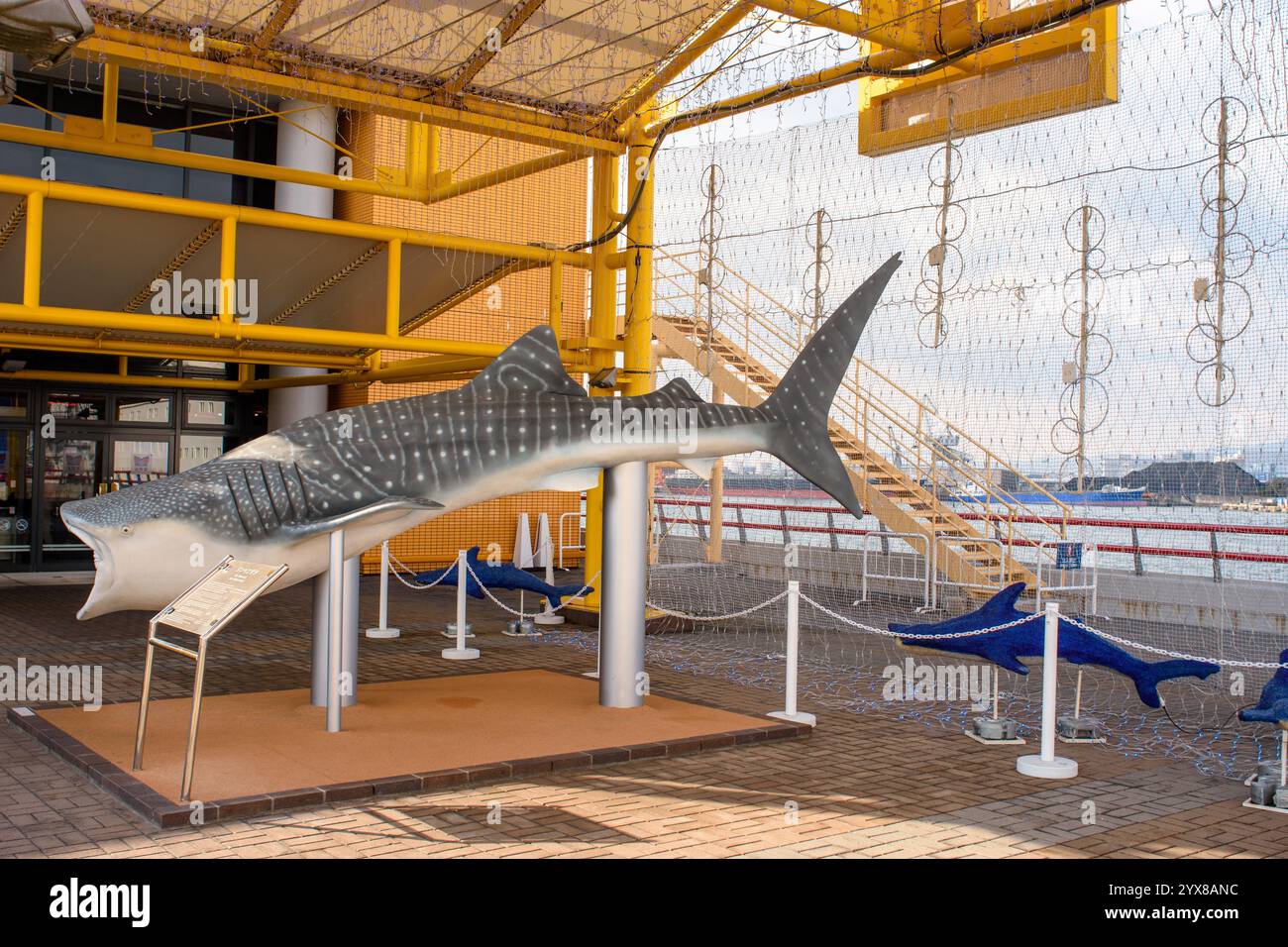 Osaka Aquarium Kaiyukan, uno dei più grandi acquari pubblici al mondo a Osaka, Giappone, il 25 dicembre 2017 Foto Stock