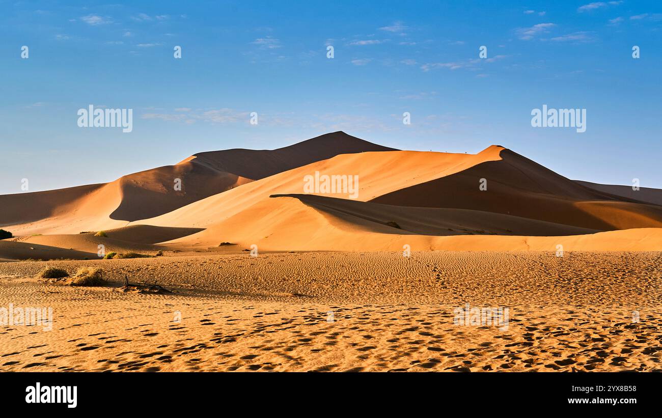 Big Daddy è la duna più alta del mondo, e le dune circondano Deadvle, a Sossusvlei, Sesriem National Park, Namibia, Africa. Foto Stock