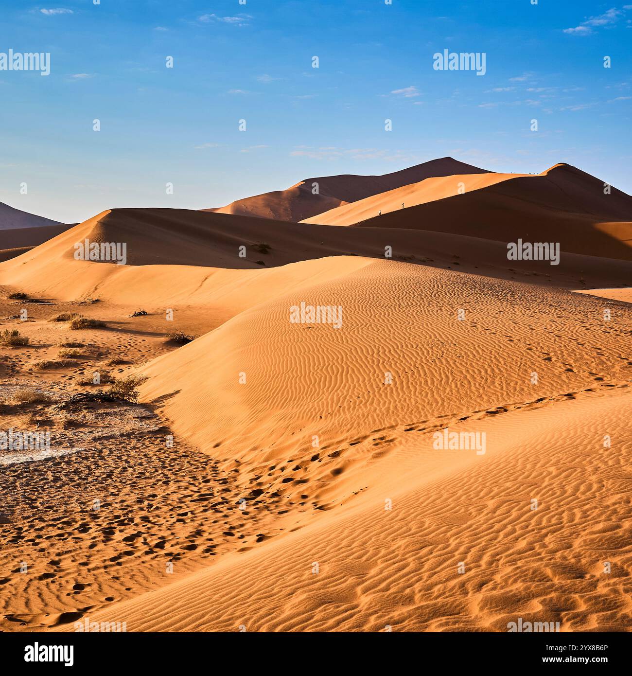 Big Daddy è la duna più alta del mondo, e le dune circondano Deadvle, a Sossusvlei, Sesriem National Park, Namibia, Africa. Foto Stock