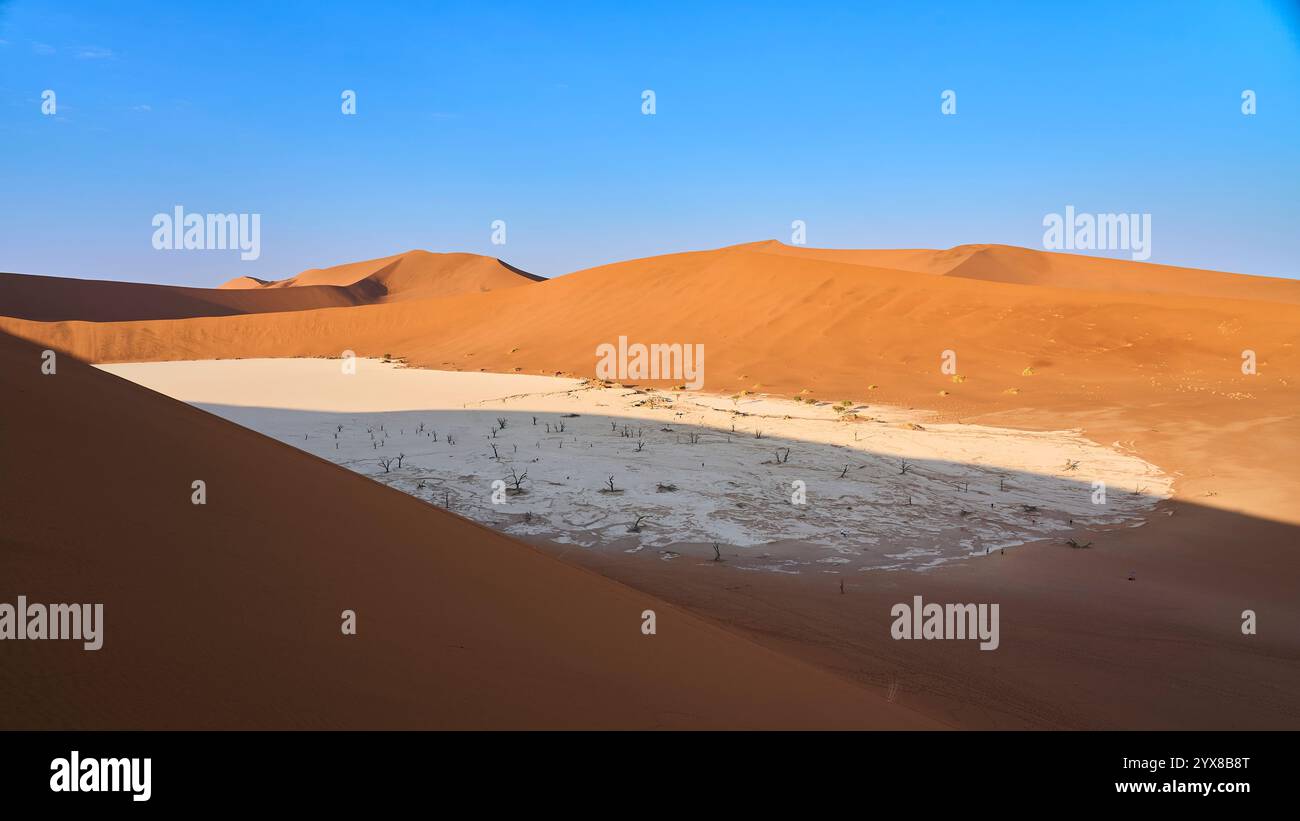 Deadvlei con i suoi famosi alberi pietrificati visti da un crinale di una duna vicina, Sossusvlei, Deadvlei, Sesriem National Park, Namibia, Africa. Foto Stock