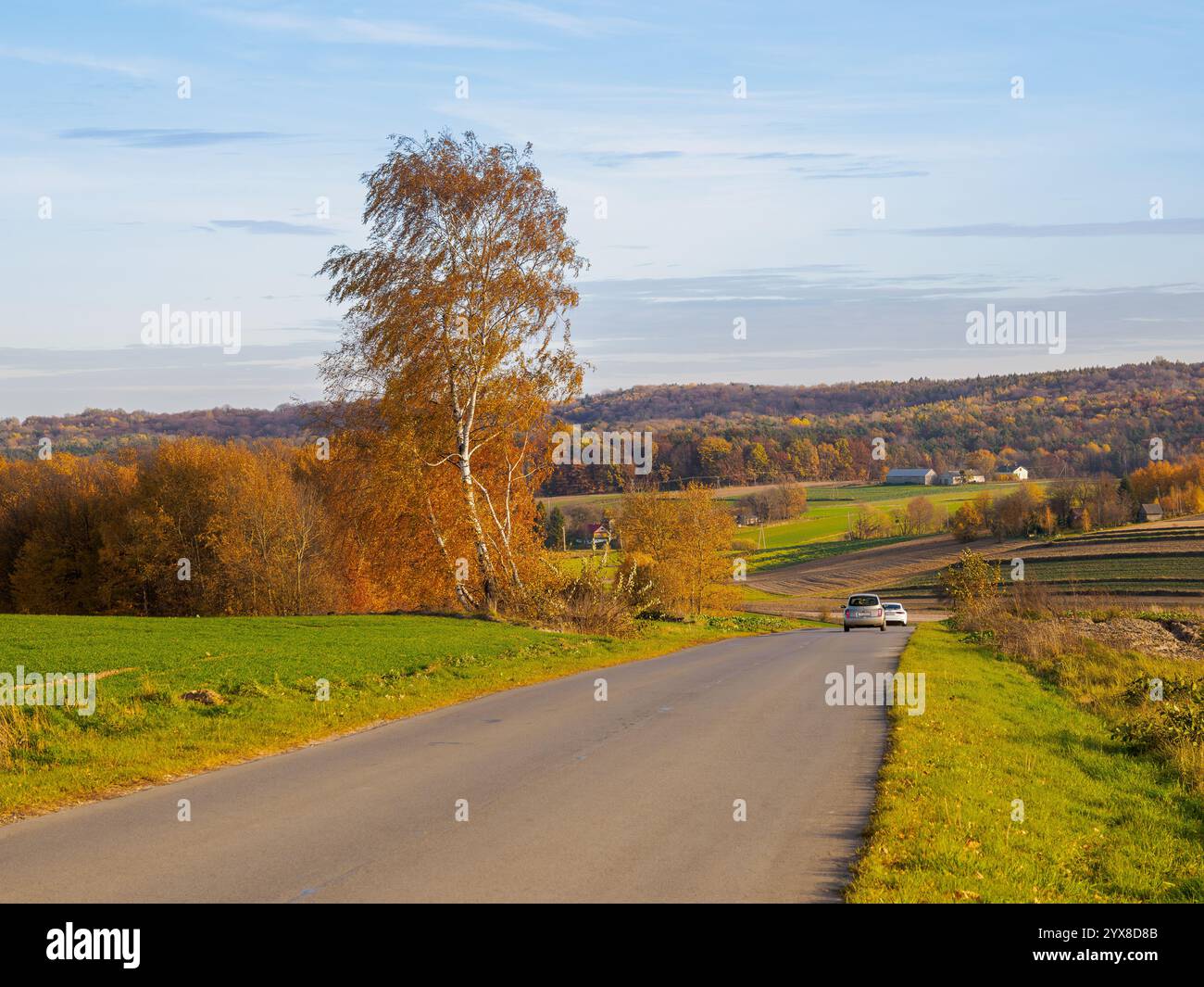 L'immagine raffigura un pittoresco paesaggio rurale in un ambiente autunnale. In primo piano, c'è una strada asfaltata che attraversa i campi, circondata da un terreno Foto Stock