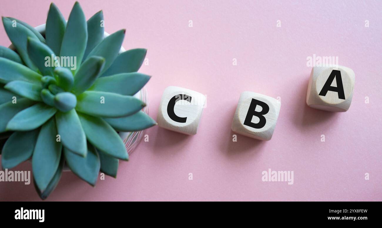 CBA - simbolo dell'analisi costi-benefici. Cubi di legno con parola CBA. Bellissimo sfondo rosa con piante succulente. Analisi del business e dei costi e dei benefici con Foto Stock