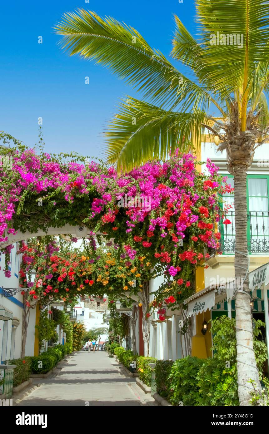 PUERTO PORT MOGAN Palm Tree Gran Canaria Flowers Mogan Port zona pedonale tranquilla con archi di Bougainvillea a Puerto de Mogan Gran Canaria Isole Canarie Spagna Foto Stock